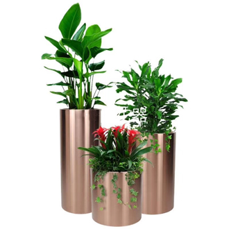 �����̻�ֲ������